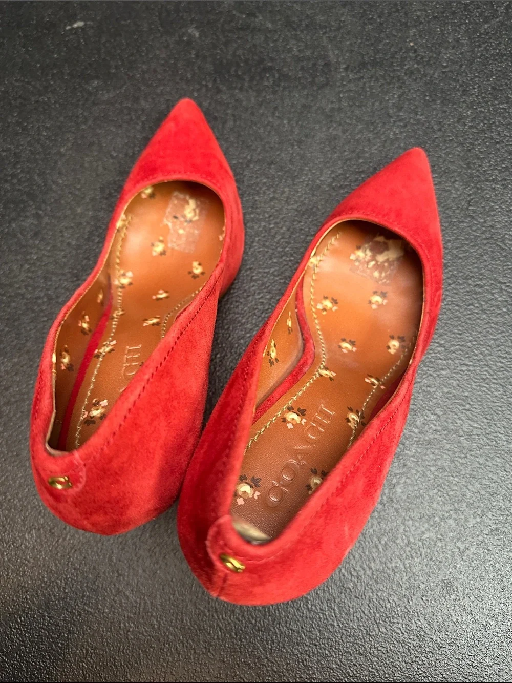 Coach Classic lipstick Red Suede Pointed-Toe Pumps